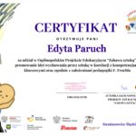 certyfikat udziału w projekcje Zabawa sztuką za rok 2023/2024 dla nauczycielki
