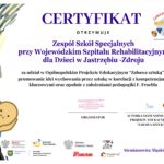 Read more about the article Zakończenie Ogólnopolskiego Projektu Edukacyjnego „Zabawa sztuką”