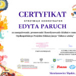 Certyfikat uczestnictwa nauczycielki w Ogólnopolskim Projekcie Edukacyjnym Zabawa sztuką