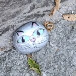 Pomalowany kamień.